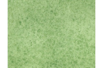 Linoleum - Covor PVC Tarkett verde - cabinete medicale - antibacterian - ignifugat - antiderapant - trafic intens  REKORD 42